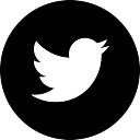 boton-del-logotipo-de-twitter_318-85053