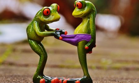 frogs-1158958_960_720